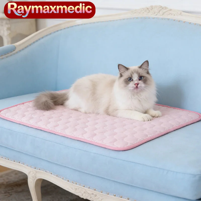 Raymax Dog Cooling Mat – Summer Ice Silk Pet Cooling Bed – Breathable Cold Blanket for Dogs & Cats – Extra Large & Small Sizes – Durable Sofa & Crate Mat