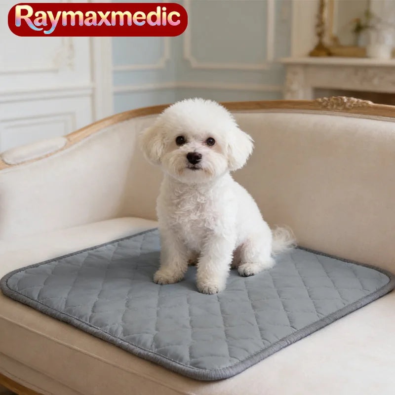 Raymax Dog Cooling Mat – Summer Ice Silk Pet Cooling Bed – Breathable Cold Blanket for Dogs & Cats – Extra Large & Small Sizes – Durable Sofa & Crate Mat